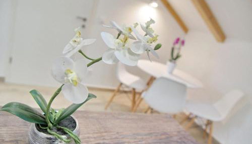 Apartments Sweet Escape - Studio Apartment with Terrace and Sea View 1 - Foto 2