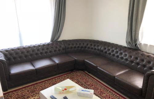 Sahara Falcon - Photo 74