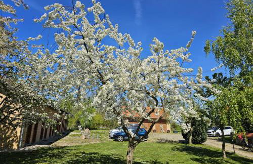 Hof am Meer "Seemöwe" - Foto 20