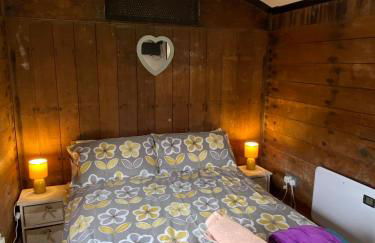 Luxury cosy carriage with electric private hot tub - Photo 16
