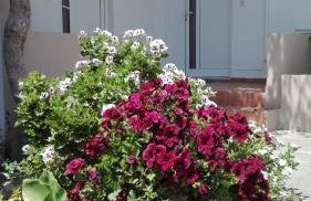 Yannis Apartments - Photo 46