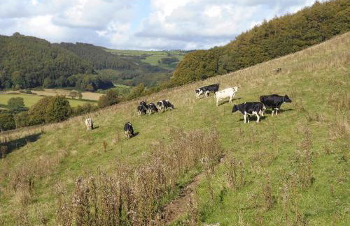 Tyllwyd Farmhouse - Foto 36