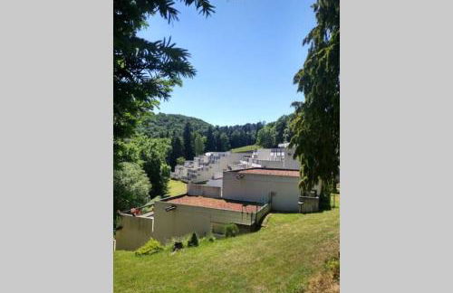 Studio au cœur des Volcans d Auvergne - Murol - Foto 8
