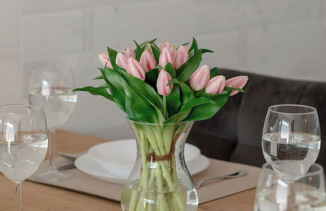 Dziwnów SPA & Parking by Renters - Foto 17