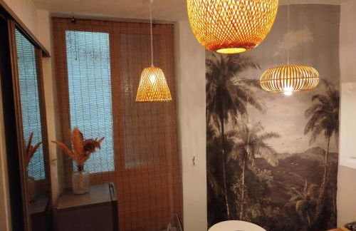 Nancy Vieille Ville Stanislas - Foto 46