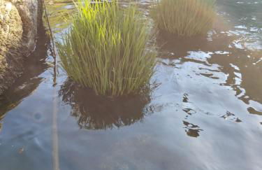 Rilhadas Casas de Campo - Foto 64