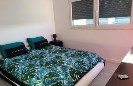 Casa do Raposo - Photo 3