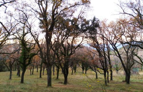 XALET de MUNTANYA - Foto 15