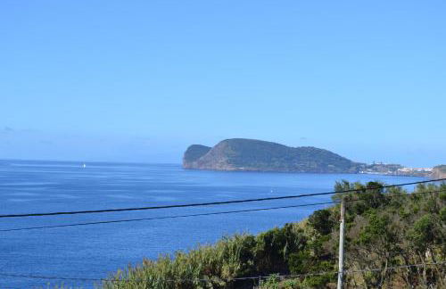 Casinha de Muda da Feteira - Photo 41