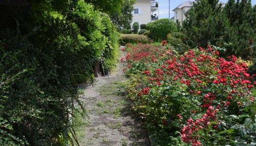 Landhaus Ottenberg - Foto 2, Garden