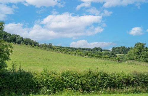 Mellowstones - Photo 23