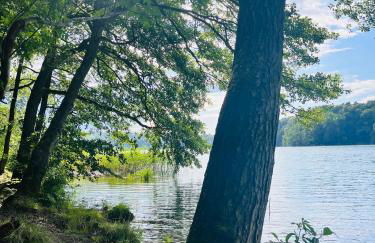 Landhaus Himmelpfort - Foto 9