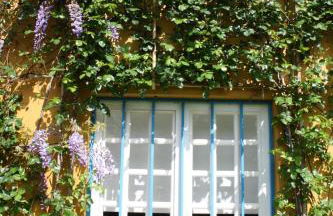 Quinta das Tamengas - Foto 35