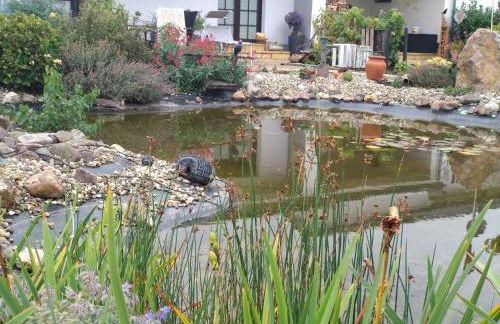 Ferienwohnung Vergissmeinnicht - Foto 10