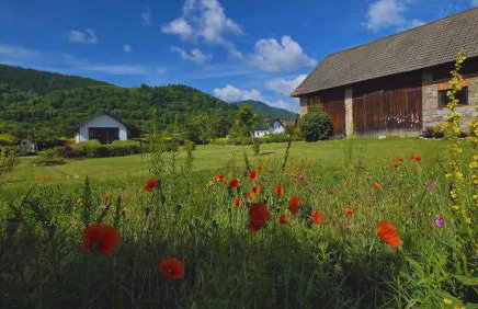 Domek GORCZAŃSKA KOLIBA w Gorcach - Foto 8