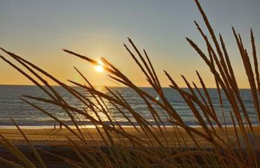 Casa da Costa de Lavos - Foto 22