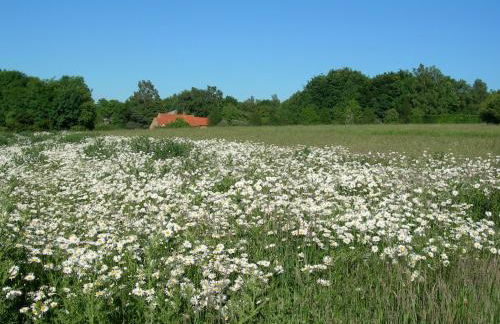Walnut Cottage - Ukc4657 - Photo 28