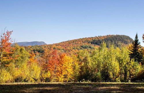 Charming Cabin Rental Perfect for an Adirondack Getaway - Foto 28