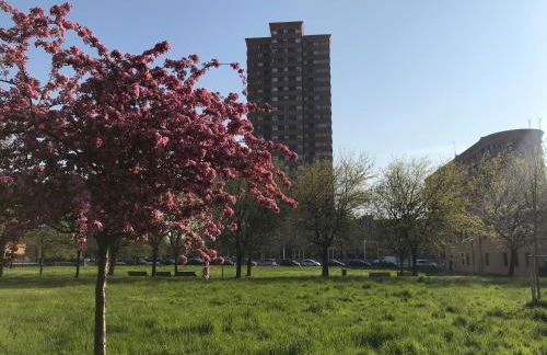 City View Living - Foto 41