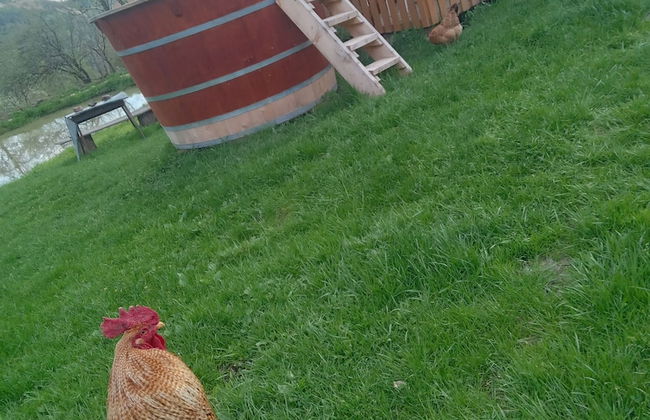 Room in Guest Room - Cozy Rural Retreat in Roşia Montana - Photo 76