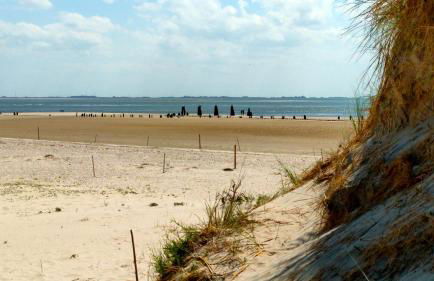 Hund im Glück - Foto 27