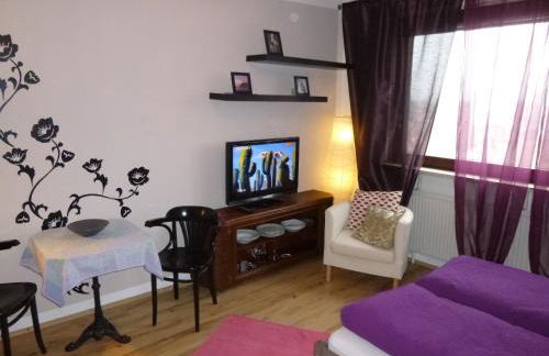 Blick über Karlsruhe - Ferienwohnung Panorama - Foto 11