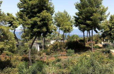 Studio Kalypso - Foto 9