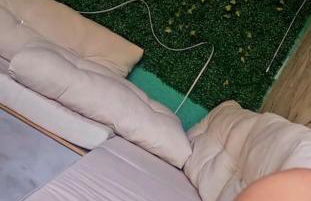 Sonho de verão - Foto 20