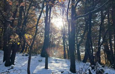 Woods Etna Chalet - Foto 42