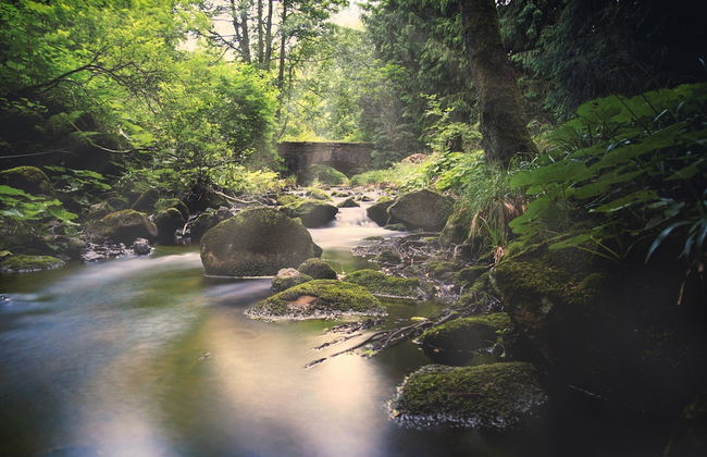 Ferienwohnungen mit Schwimmbad - Foto 44