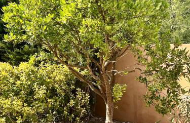 Villa Alta Rocca - Foto 23