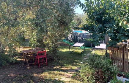 Podere MiaMa - Foto 21