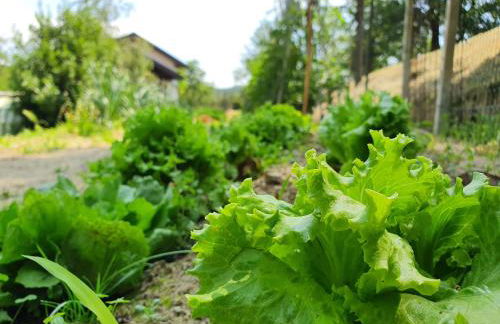 Agriturismo Il Burlino Apartments - Foto 63