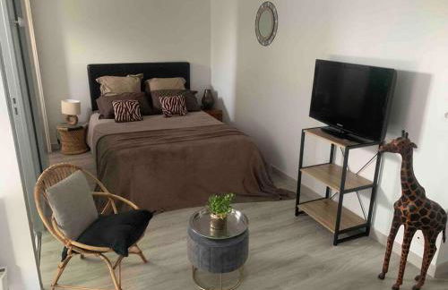 Ravissant studio en bord de mer - Photo 1