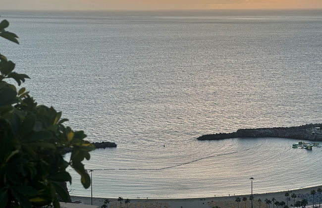 Holiday Club Jardin Amadores - Photo 50