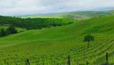 Agriturismo Bagnaia - Foto 3