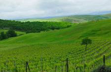 Agriturismo Bagnaia - Foto 3