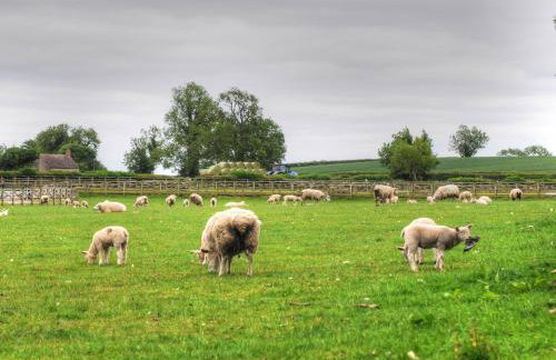 The Farm House - Photo 68