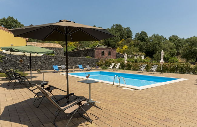 Viola nel Parco - Foto 45