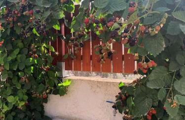 to ble Künstlersteinhaus mit Garten Barrierefrei - Photo 11