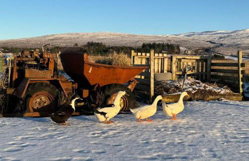 Bonnie Brae Croft Bothies - Foto 60