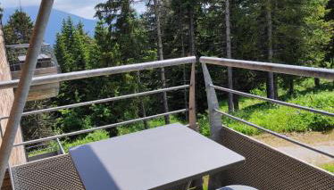 Chamrousse 1700 - Les Domaines de LArselle- Silènes C23 - Classé 3 étoiles - Foto 5