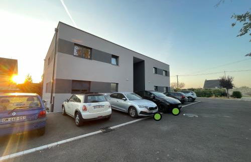 Colmar Appartement terrasse 10min centre ville - Foto 28