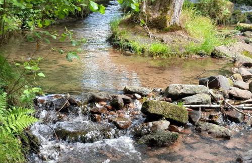 Fewo Waldtherme Relaxen, wandern, Radfahren - Foto 32