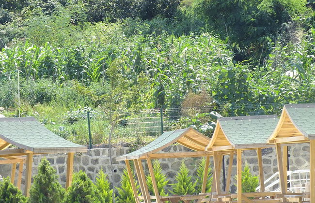 Royal Life Residence - Photo 35