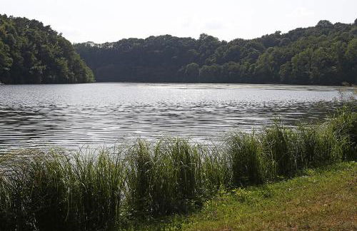 Landhaus Wald und See - Foto 13