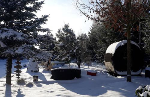 Pucówka na skraju Puszczy Białowieskiej - Foto 18