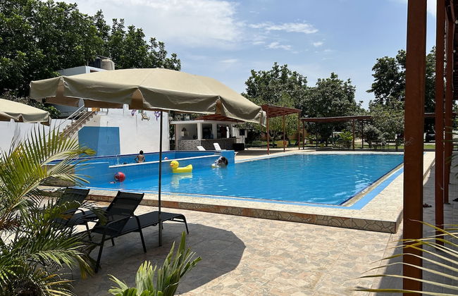 Ica adventures out of the woods - Photo 3