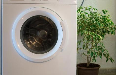 Walnuthouse - Foto 13