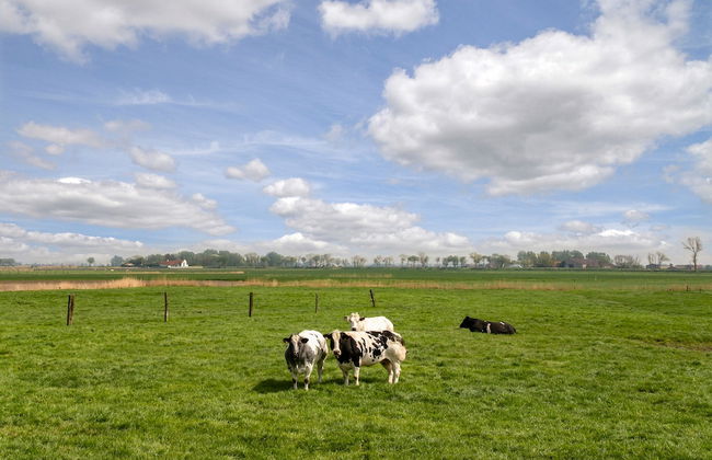 Westend Palace - Foto 20